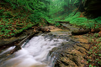 Nature Educational Videos