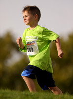 981_Race Cats_19 Oct 2020